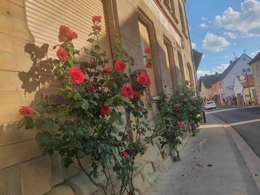 Apartament Wohlfuehloase Auf 133-160Qm In Der Idylle An Der Nahe Duchroth Zewnętrze zdjęcie