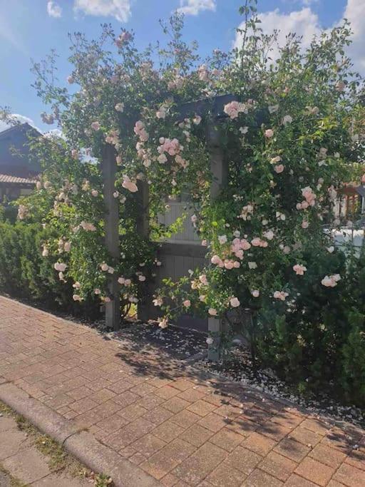 Apartament Wohlfuehloase Auf 133-160Qm In Der Idylle An Der Nahe Duchroth Zewnętrze zdjęcie